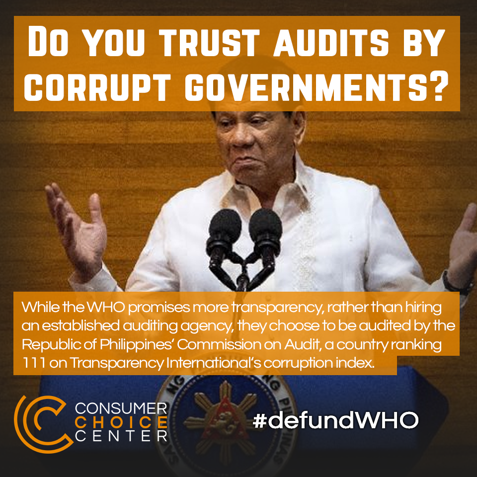 Questionable Audit of the WHO